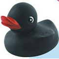 Rubber Black Duck